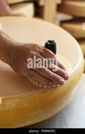 Bergkäse, in einer Sennerei in Tirol gemacht Stockfoto