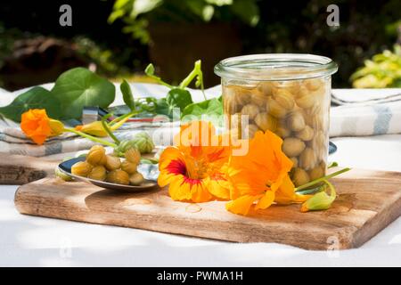 Falsche Kapern aus kapuzinerkresse Samen gemacht Stockfoto