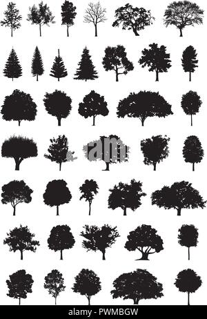Baum Silhouette Vector Illustration Stock Vektor