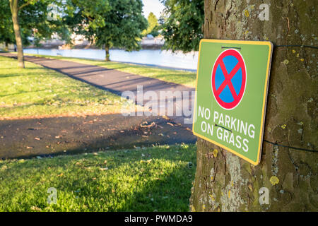 Kein Parkplatz-Schild - Baum schneiden Stockfoto, Bild: 17067105 - Alamy