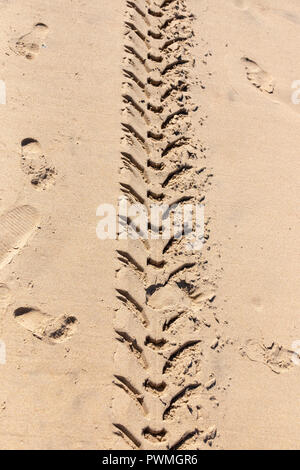 Eine Nahaufnahme der Reifenspuren des Traktors hinter dem Strand sand Links, mit der Menschen Spuren auf beiden Seiten Stockfoto