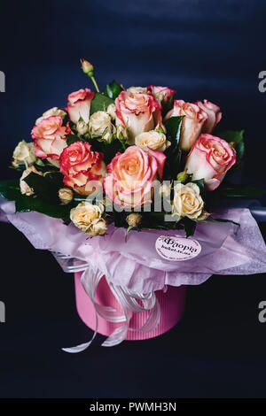 Rose Kabarett im Warenkorb auf dunklen einfache Hintergrund Stockfoto