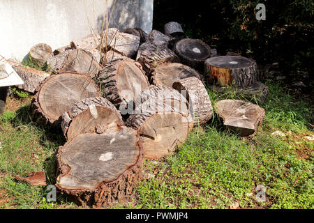 Haufen von Rundholz bereit für den Winter. Schneiden Sie die Baumstämme auf Gras. Stapel Feuerholz gehackt. Ein Haufen von Holz im Haus. Raw bellte Rundholz. Stockfoto
