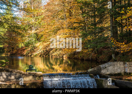 Frankreich, Pyrenees Atlantiques, Baskenland, Iraty Buchenwald im Herbst und Wasserfall auf der Iratiko stream Stockfoto