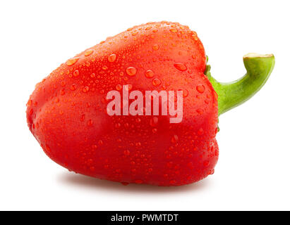 Süße Paprika Pfad isoliert Stockfoto