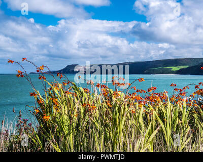 Blick von der Küste weg in Richtung tresaith an der walisischen Küste in Ceredigion. Stockfoto