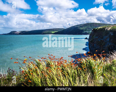 Blick von der Küste weg in Richtung tresaith an der walisischen Küste in Ceredigion. Stockfoto