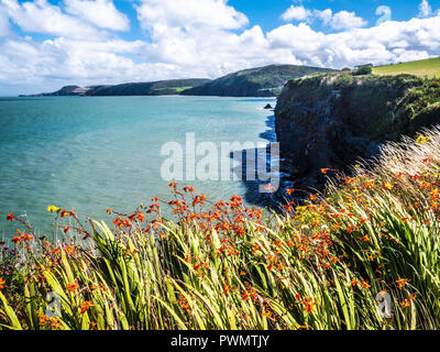 Blick von der Küste weg in Richtung tresaith an der walisischen Küste in Ceredigion. Stockfoto