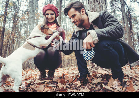 Frau und Mann ihren Hund werfen ein Stick Stockfoto