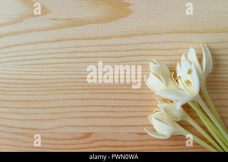 Blick von oben auf ein Bündel von reinem Weiß Millingtonia Blumen auf hellbraunem Holz- Tabelle, mit Freiraum für Text und Gestaltung Stockfoto