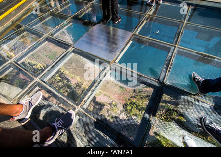 Madeira, Portugal - Juli, 2018: Skywalk am Cabo Girao, Madeira. Blick auf den Atlantik. Stockfoto