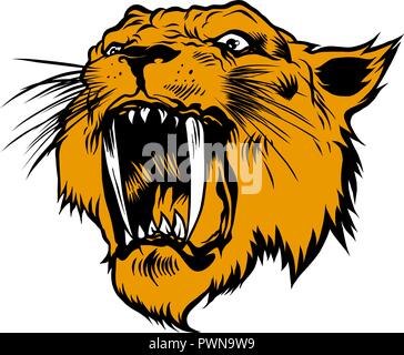 Vector Illustration Tiger Augen Maskottchen Grafik auf weißem Hintergrund Stock Vektor