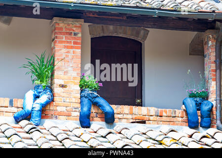 Upcycling - alte Jeans sitzt an der Wand verwendet werden Blumen an der Toskana, Italien zu wachsen im Mai Stockfoto