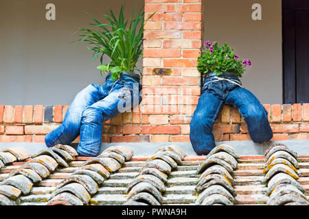 Upcycling - alte Jeans sitzt an der Wand verwendet werden Blumen an der Toskana, Italien zu wachsen im Mai Stockfoto