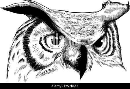 Owl-Vector Illustration. Icon Design auf weißem Hintergrund. Stock Vektor