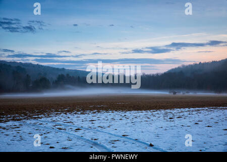 Nebel geistert durch die Landschaft während einer warmen Winter Abend in Jenksville, NY. Stockfoto