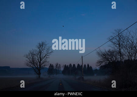 Nebel geistert durch die Landschaft während einer warmen Winter Abend in Jenksville, NY. Stockfoto