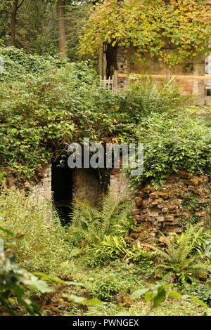 Herbstliche Szenen - Rückkehr in die wilde Natur. Das Äußere eines verlassenen Hauses & Stiftungen im Wald Pflanzen und Blättern bedeckt. Stockfoto