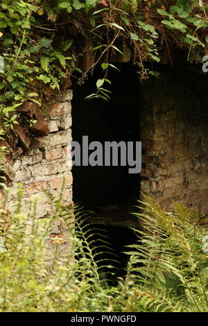 Herbstliche Szenen - Rückkehr in die wilde Natur. Das Äußere eines verlassenen Hauses & Stiftungen im Wald Pflanzen und Blättern bedeckt. Stockfoto