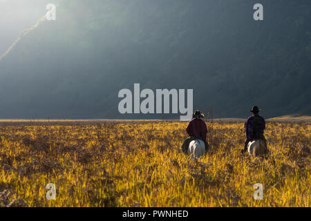 Reiter des Tengger Stamm Home auf der Savanne des Mount Bromo gehen Stockfoto