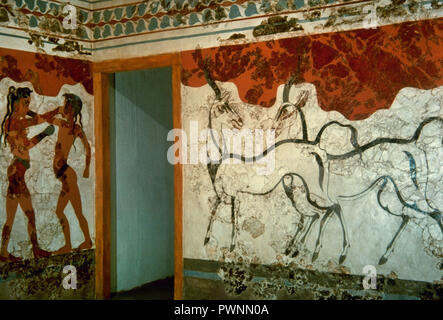 Der Boxer und der Antelope fresco. 16. Jahrhundert v. Chr.. Zimmer B1. Gebäude B Detail. Akrotiri, Thera (Santorin). Nationalen Archäologischen Museum. Athen, Griechenland. Stockfoto