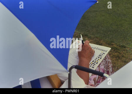 Sitzende Frau mit einem Kreuzworträtsel, England, Großbritannien Stockfoto