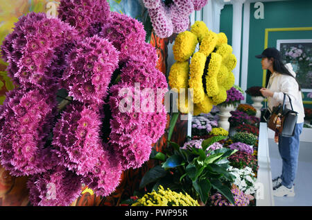 Kaifeng, China's Provinz Henan. 17 Okt, 2018. Ein Tourist genießt Chrysanthemen im Millennium City Park in Tianjin, Chinas Provinz Henan, am Okt. 17, 2018. Credit: Li Ein/Xinhua/Alamy leben Nachrichten Stockfoto