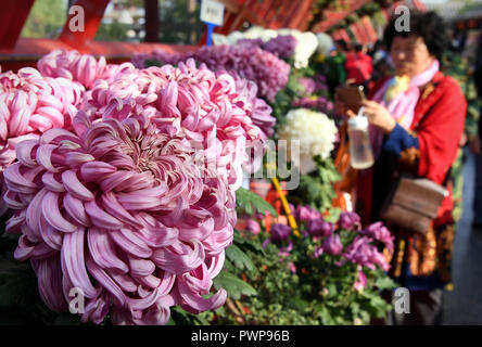 Kaifeng, China's Provinz Henan. 17 Okt, 2018. Ein Tourist genießt Chrysanthemen im Millennium City Park in Tianjin, Chinas Provinz Henan, am Okt. 17, 2018. Credit: Li Ein/Xinhua/Alamy leben Nachrichten Stockfoto