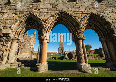 St. Andrews Cathedral und St.'s Tower, St Andrews, Fife, Schottland. Stockfoto