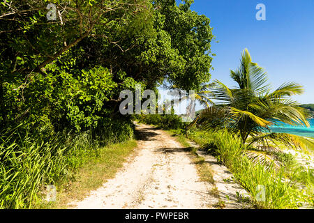 Trail auf Petit-St-Vincent Island, Saint Vincent und die Grenadinen Kleine Antillen, West Indies, Windward Islands, Karibik, Zentral- und Lateinamerika Stockfoto