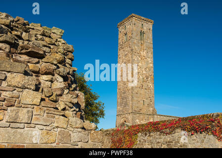 St. Andrews Cathedral und St.'s Tower, St Andrews, Fife, Schottland. Stockfoto