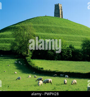 St Michael's Turm auf dem Glastonbury Tor, Glastonbury, Somerset, England, Vereinigtes Königreich, Europa Stockfoto