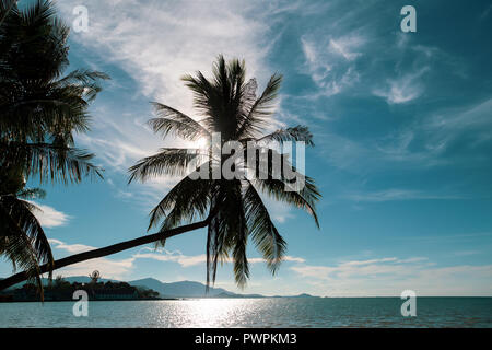 Kokospalme auf dem Ozean gegen Türkis sky in Insel Koh Samui in Thailand. Stockfoto