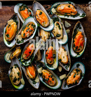 Muscheln Muscheln Kiwi mit Knoblauch und Petersilie close-up Stockfoto