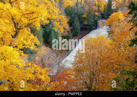 Laughing Whitefish fällt, wird von flammenden Herbst Laub umgeben, in der Nähe der Munising Michigan Stockfoto