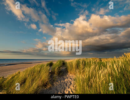 Blick über marram Gras bedeckte Dünen auf dem Weg zur Nordsee vor Sonnenuntergang im nördlichen Frankreich Stockfoto