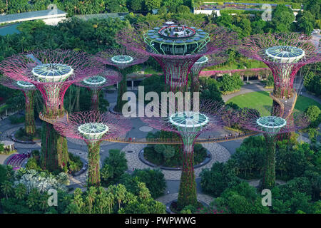 Die Super Bäume in Gärten durch die Bucht, Singapur, der Baum mit dem Dach IndoChine Restaurant, von den angrenzenden SkyPark gesehen Stockfoto