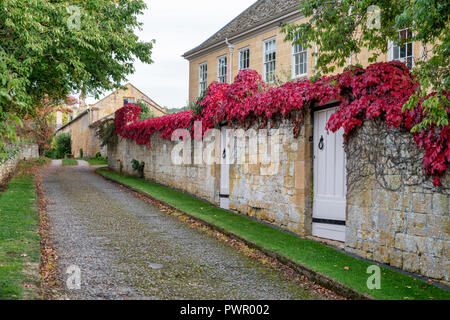 Parthenocissus Tricuspidata. Boston Ivy/Japanische Kriechgang auf einem Garten Wand in Broadway Cotswolds, Worcestershire, England Stockfoto