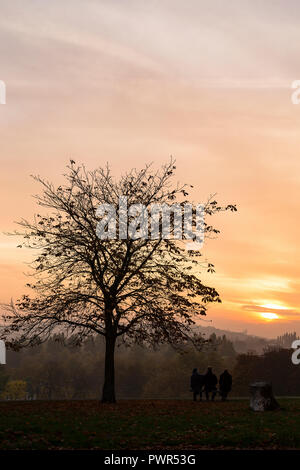 Drei Leute sitzen auf der Bank unter dem Baum im Spätherbst und beobachten den Sonnenuntergang in South East London, hügeligen Feldern, Brockley, London Stockfoto