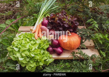 Verschiedene Sorten von Gemüse auf einer Holzpalette im Freien. Stockfoto