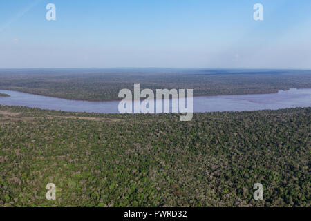 Dschungel und Windungen des Flusses, Ansicht von oben / Landschaft Stockfoto