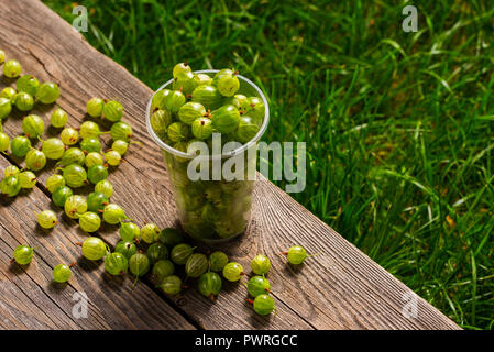 Stachelbeeren in Kunststoffbehältern Stockfoto