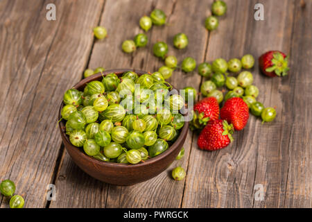 Erdbeeren und Stachelbeeren im Garten Stockfoto