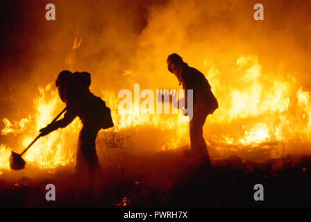 Silhouetten der Feuerwehrleute im Kampf mit einem Buschfeuer in Kalifornien, USA Stockfoto