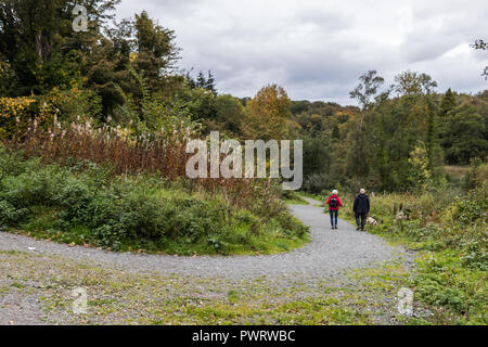 Zwei Wanderer und ihren Hund auf einem Waldweg in Belvoir Park Wald in South Belfast, Nordirland. Stockfoto
