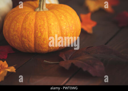 Schöne Kürbisse für Thanksgiving oder Halloween Messaging. Stockfoto