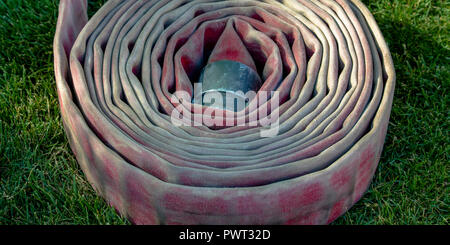 Spiralkabel Schlauch auf der sonnenbeschienenen Grasboden Stockfoto