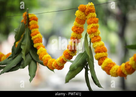 Ringelblume Girlanden und grüne Blätter als Dekoration während Dussehra Festival in Indien Stockfoto