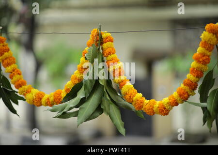 Ringelblume Girlanden und grüne Blätter als Dekoration während Dussehra Festival in Indien Stockfoto