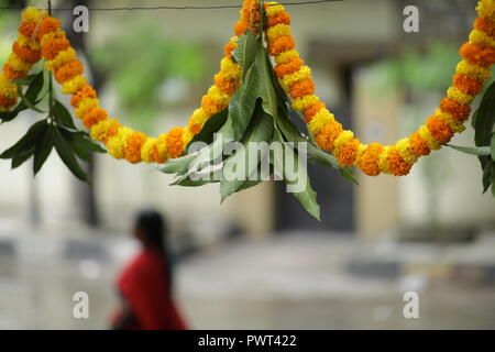 Ringelblume Girlanden und grüne Blätter als Dekoration während Dussehra Festival in Indien Stockfoto